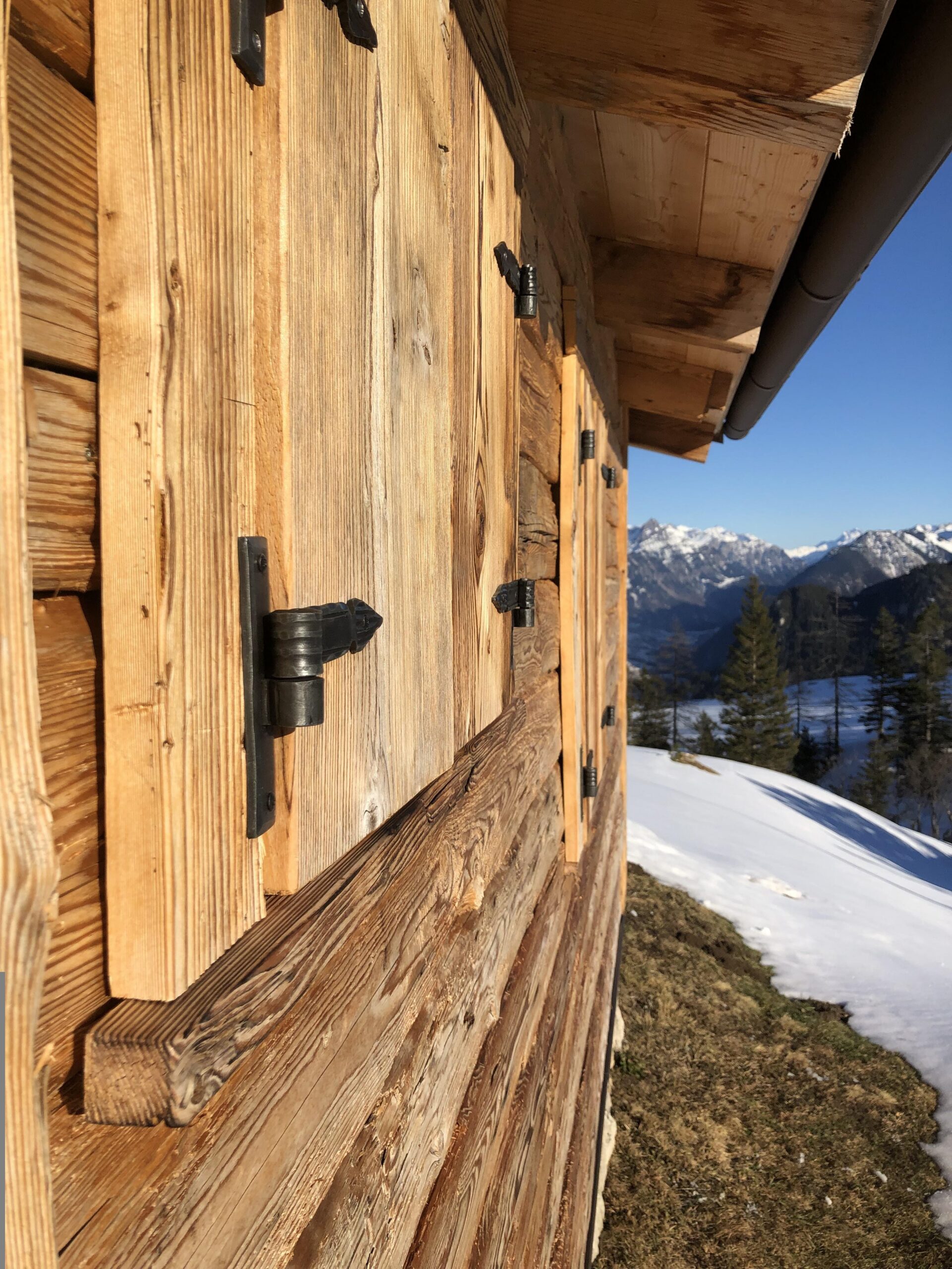 pezibear hut 6946644